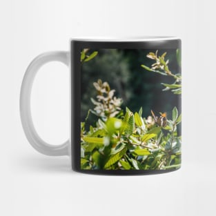 Summer butterfly on foliage Mug